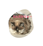 ひーふーみー（個別スタンプ：8）