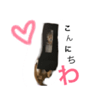 愛しのカギしっぽ（個別スタンプ：5）
