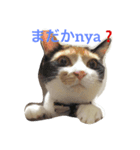 うめのきもち（個別スタンプ：5）