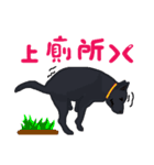 Cute Mixed（個別スタンプ：10）