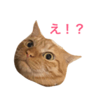 メイ＆スイ（個別スタンプ：19）
