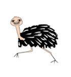 【ダチョウ】Club Ostrich（個別スタンプ：40）