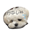 めろにー（個別スタンプ：10）