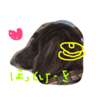 ココちゃんナナちゃんの使えるすたんぷ（個別スタンプ：1）
