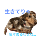 ココちゃんナナちゃんの使えるすたんぷ（個別スタンプ：2）