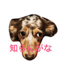 ココちゃんナナちゃんの使えるすたんぷ（個別スタンプ：3）