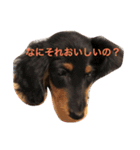 ココちゃんナナちゃんの使えるすたんぷ（個別スタンプ：7）
