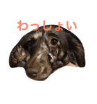 ココちゃんナナちゃんの使えるすたんぷ（個別スタンプ：8）