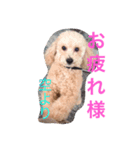 大賀と空と希愛（個別スタンプ：2）