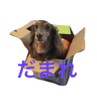 kkmren（個別スタンプ：5）