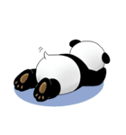 Stuffed Panda（個別スタンプ：34）