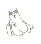 Maoup-FuunyCats＆Dogs（個別スタンプ：1）