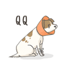 Maoup-FuunyCats＆Dogs（個別スタンプ：4）