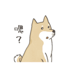 Maoup-FuunyCats＆Dogs（個別スタンプ：6）