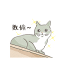 Maoup-FuunyCats＆Dogs（個別スタンプ：14）