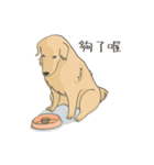 Maoup-FuunyCats＆Dogs（個別スタンプ：16）