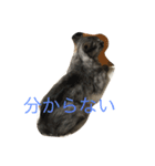 うちのピコです！（個別スタンプ：8）