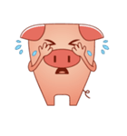 Pig Pig（個別スタンプ：20）
