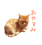 ウチネコ いくら（個別スタンプ：9）