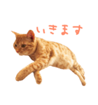 ウチネコ いくら（個別スタンプ：10）