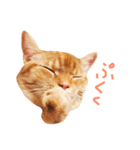 ウチネコ いくら（個別スタンプ：14）
