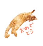 ウチネコ いくら（個別スタンプ：21）