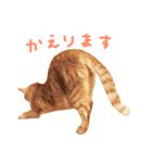 ウチネコ いくら（個別スタンプ：24）