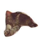 猫のぎんじろう（個別スタンプ：3）
