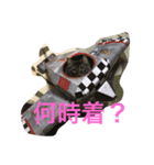 ノル君✖︎ブブさん（個別スタンプ：3）