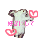 ノル君✖︎ブブさん（個別スタンプ：4）