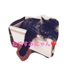 ノル君✖︎ブブさん（個別スタンプ：5）