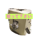 ノル君✖︎ブブさん（個別スタンプ：7）