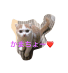 ノル君✖︎ブブさん（個別スタンプ：8）