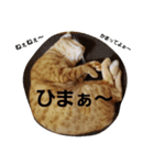 めいときなのつぶやきPart2（個別スタンプ：2）