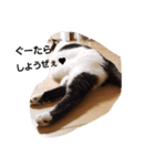 めいときなのつぶやきPart2（個別スタンプ：6）
