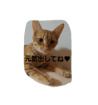 めいときなのつぶやきPart2（個別スタンプ：7）