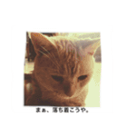 デブ猫なら助（個別スタンプ：13）