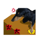 Sausage dog 02（個別スタンプ：14）