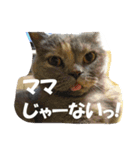 おちゃそ感（個別スタンプ：5）