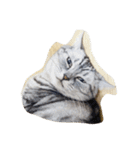 脱力感ある猫（個別スタンプ：39）