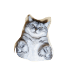 だらけた猫（個別スタンプ：1）