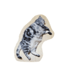 だらけた猫（個別スタンプ：2）