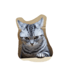 だらけた猫（個別スタンプ：3）