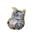 だらけた猫（個別スタンプ：4）