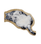 だらけた猫（個別スタンプ：5）