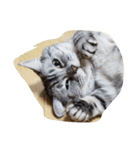だらけた猫（個別スタンプ：10）