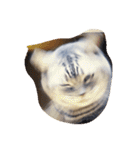 だらけた猫（個別スタンプ：14）