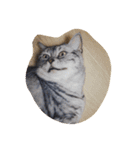 だらけた猫（個別スタンプ：16）
