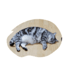 だらけた猫（個別スタンプ：31）