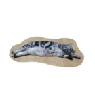 だらけた猫（個別スタンプ：37）